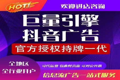 专业sem托管服务案例，揭秘广告投放优化策略